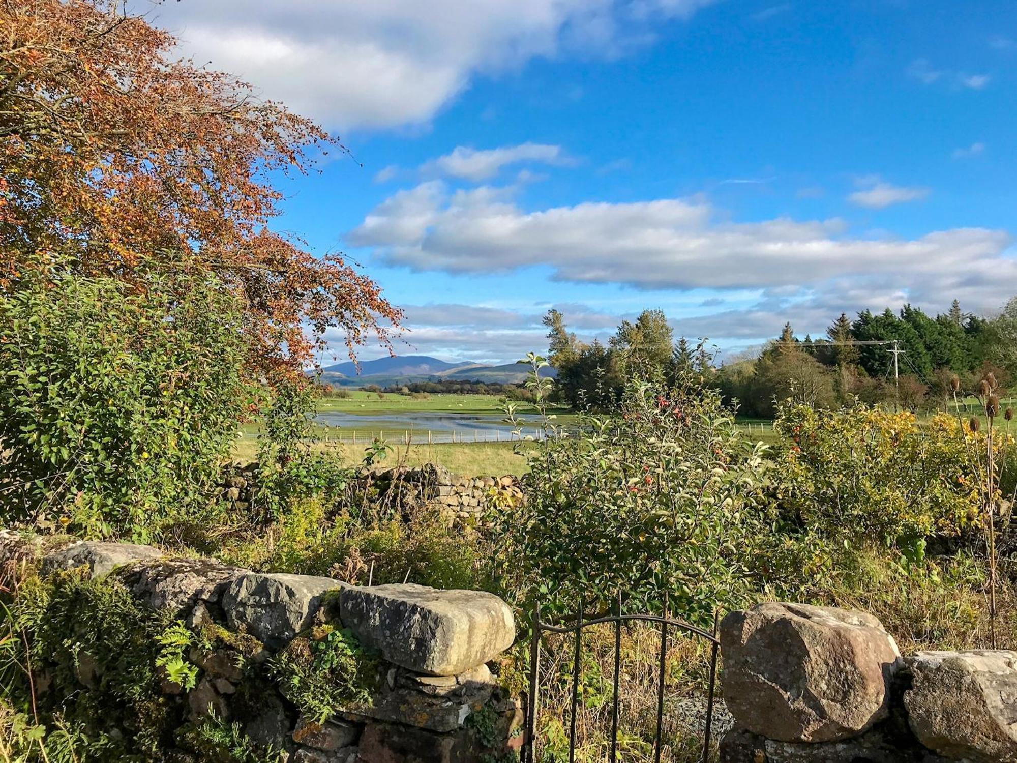 Springlea Cottage Dean  Bagian luar foto